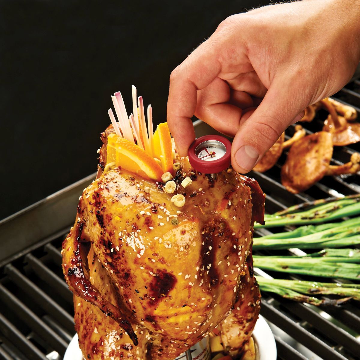 Ростер для курицы с термометром 69132